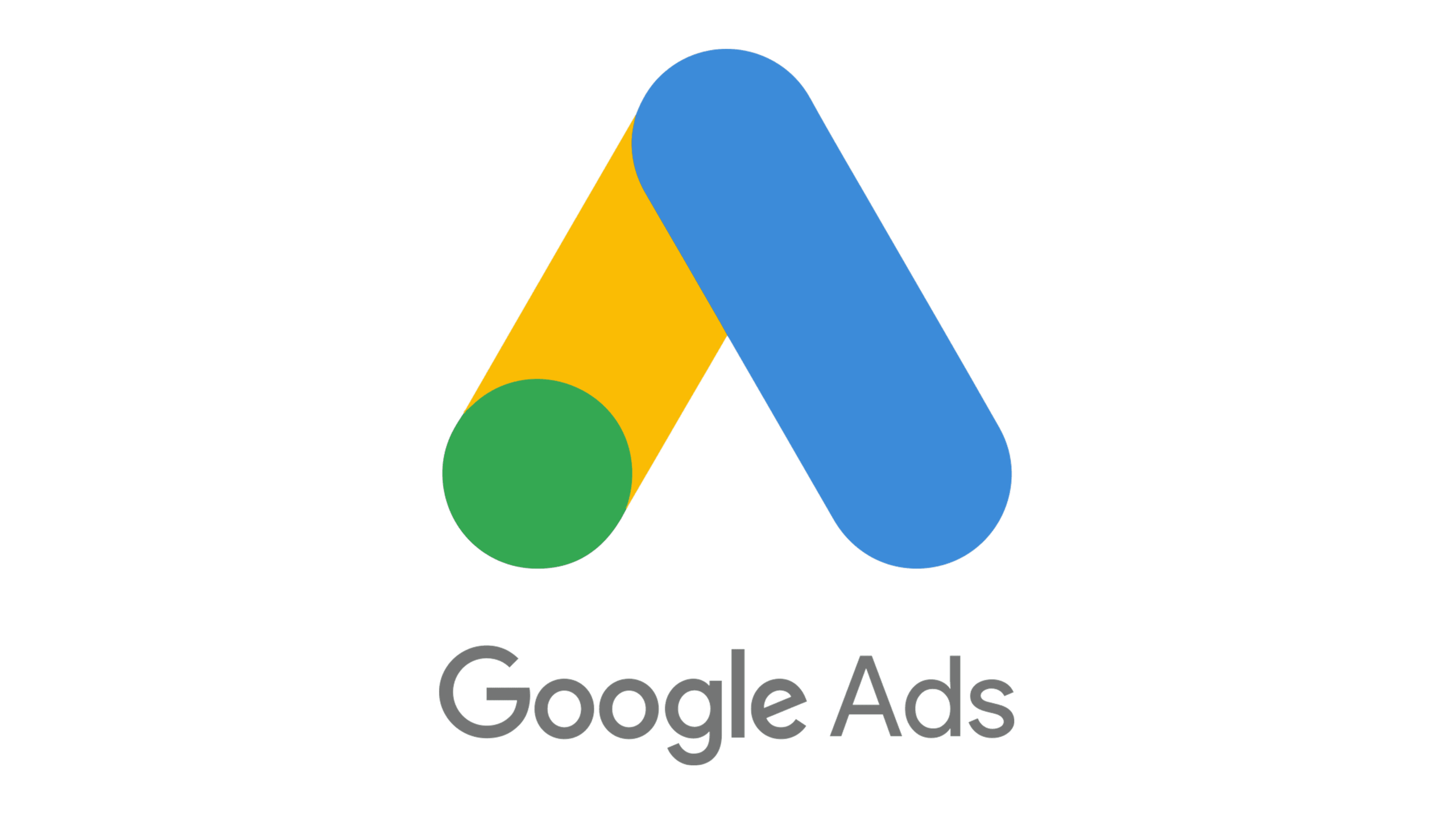 Digital marketing expert who can run ads on Google Ads
